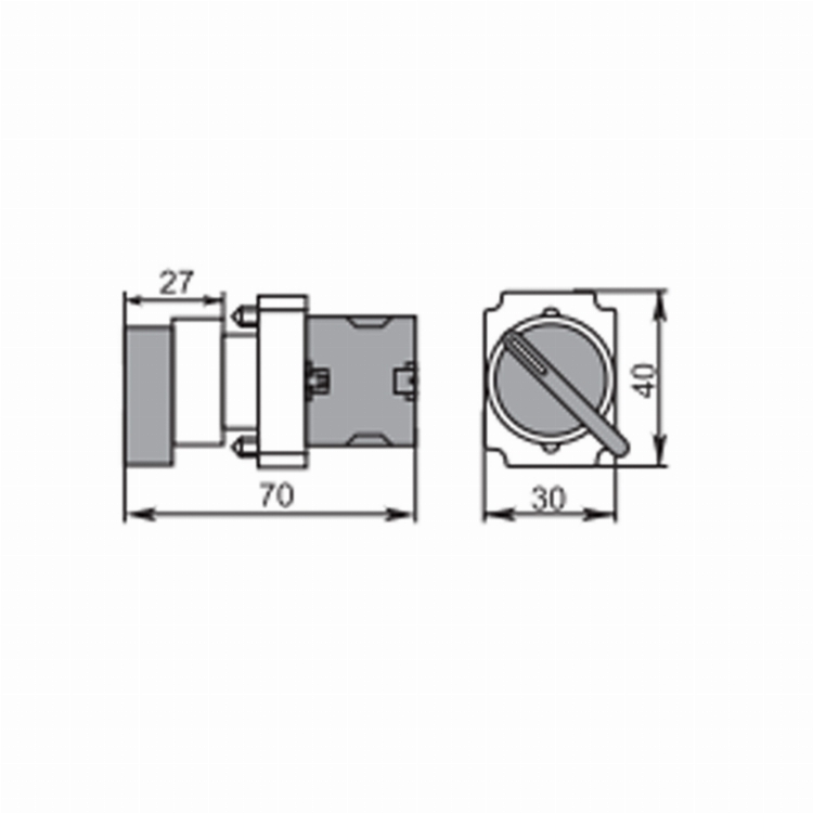 Переключатель BD21 2P короткая ручка NO