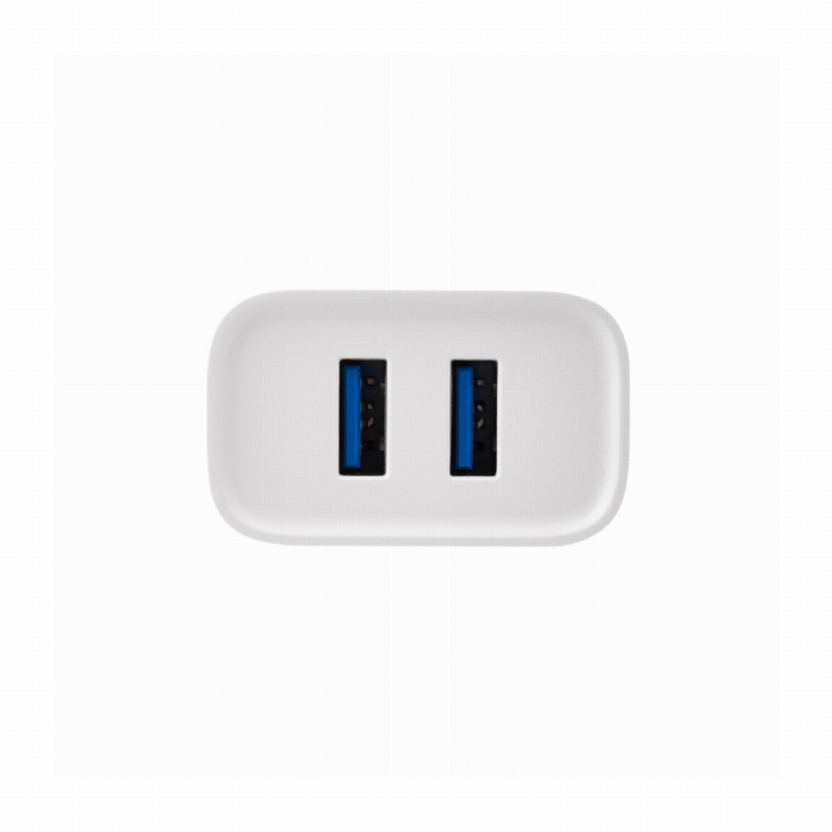 Сетевое зарядное устройство для iPhone/iPad REXANT 2 x USB, 5V, 2.4 A, белое