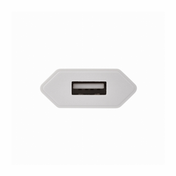 Сетевое зарядное устройство для iPhone/iPad REXANT USB, 5V, 1 A, белое